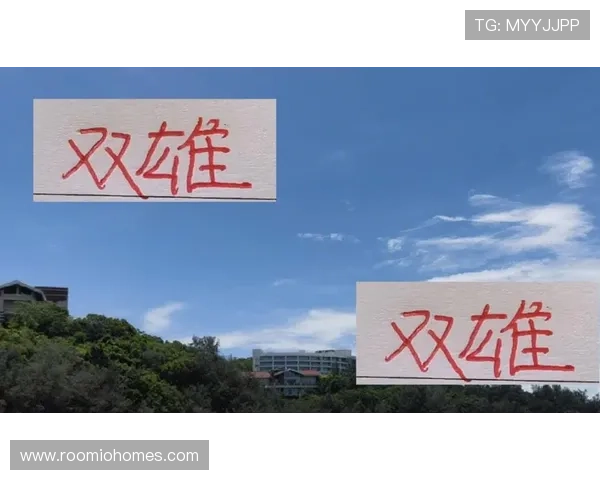 尊龙新版手机版下载最新版本更新内容详解,带来哪些新功能和优化